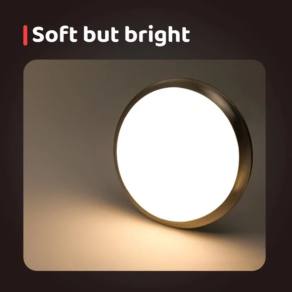 LED Ceiling Light Brushed Nickel Frosted Glass Shade Light Fixture for Bedroom - Picture 2 of 10